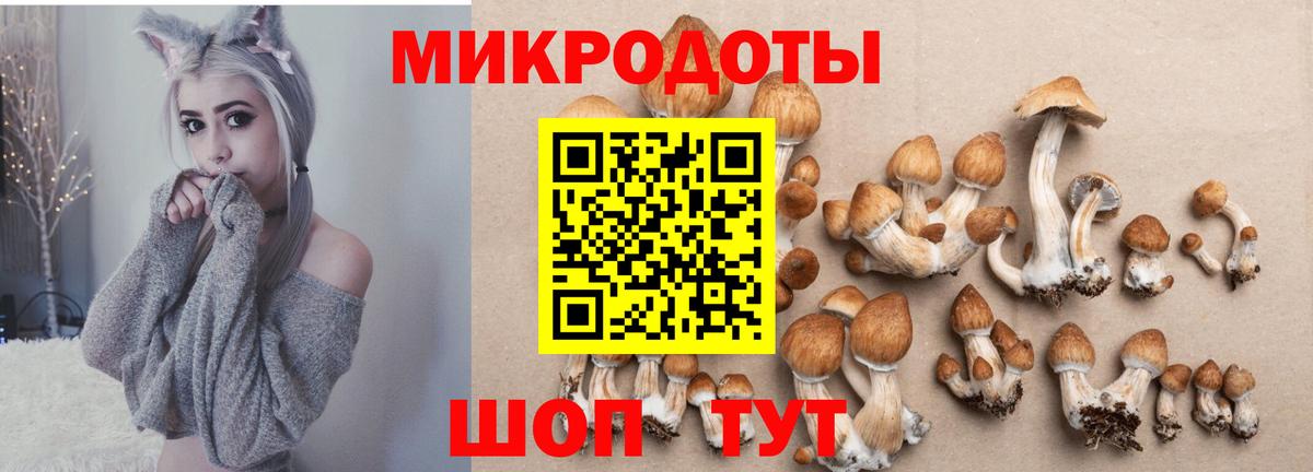 Псилоцибиновые грибы Psilocybine cubensis Балашиха
