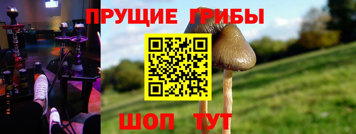 Псилоцибиновые грибы Psilocybe  Галлюциногенные грибы Cubensis  Балашиха  Вход с VPN 